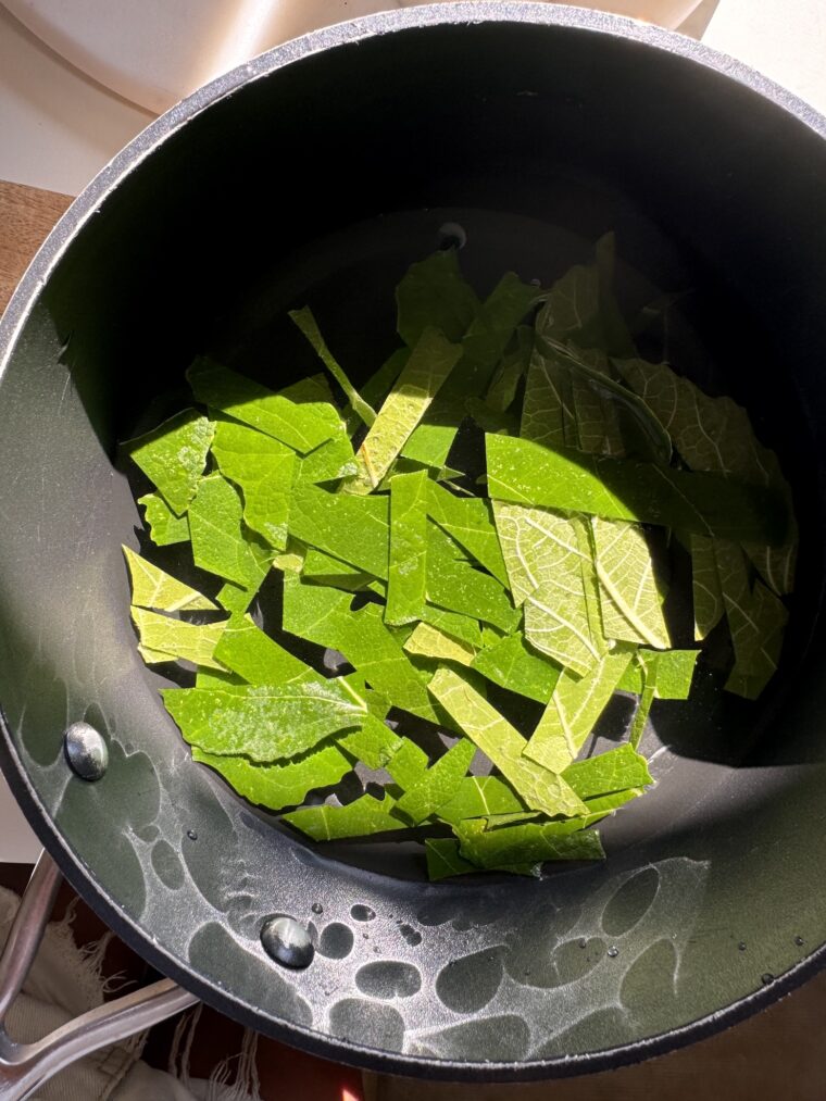 fig leaf iced tea
